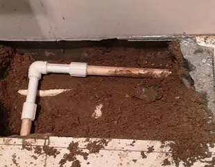 张家界市测漏水哪家好