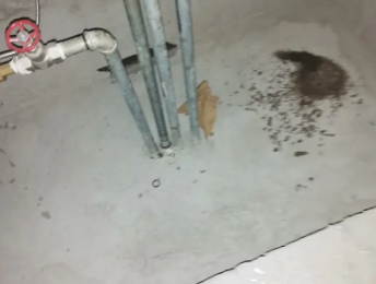 张家界市卫生间测漏水价格明细