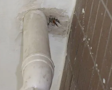 张家界市漏水检测哪家好